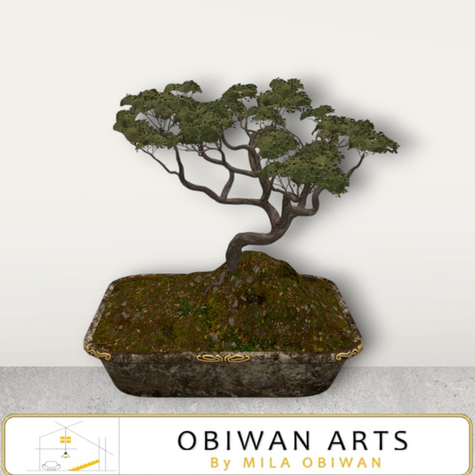 Kleene Bonsai