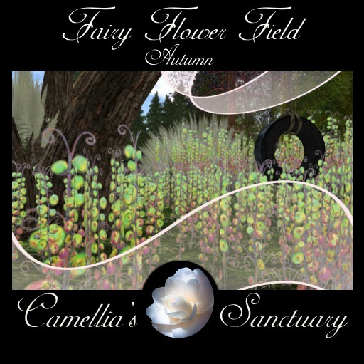 Fairy Flower Field Autumn