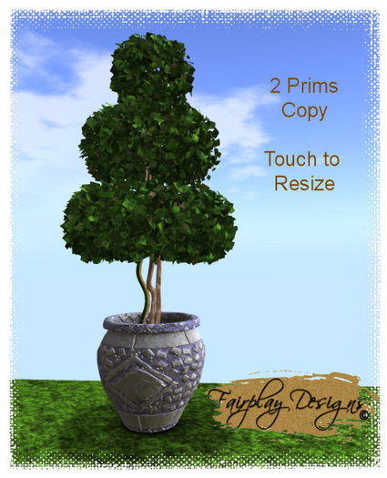 ~R~Boxwood Spiral Topiary~Copy