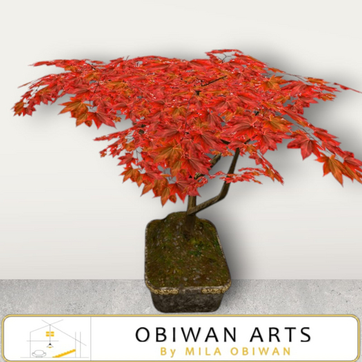 Japanese Bonsai