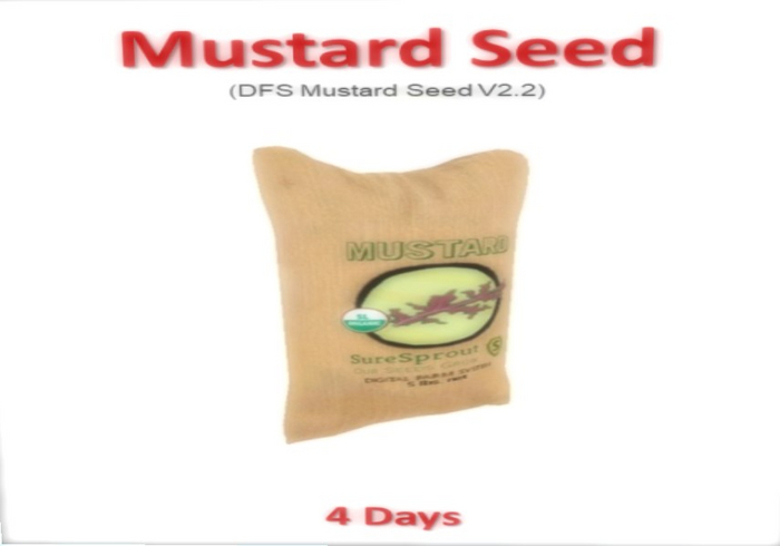 DFS Mustard Seed V2.2