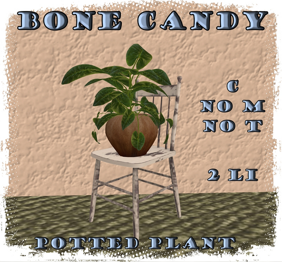Bone Candy~Potted Plant