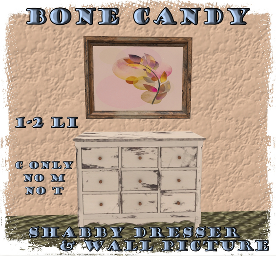 Bone Candy~Dresser & Picture