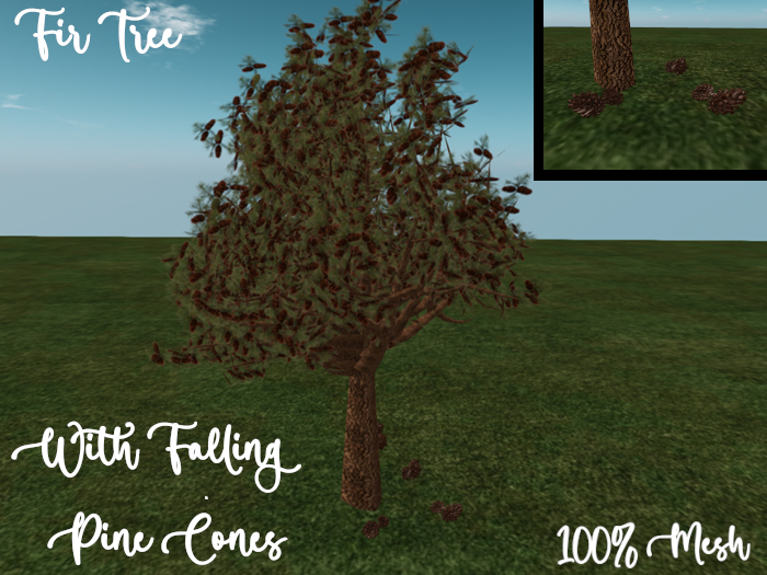 Aurelia's Fir Tree - Auto Pine Cones Rezzer W/Texture Menu