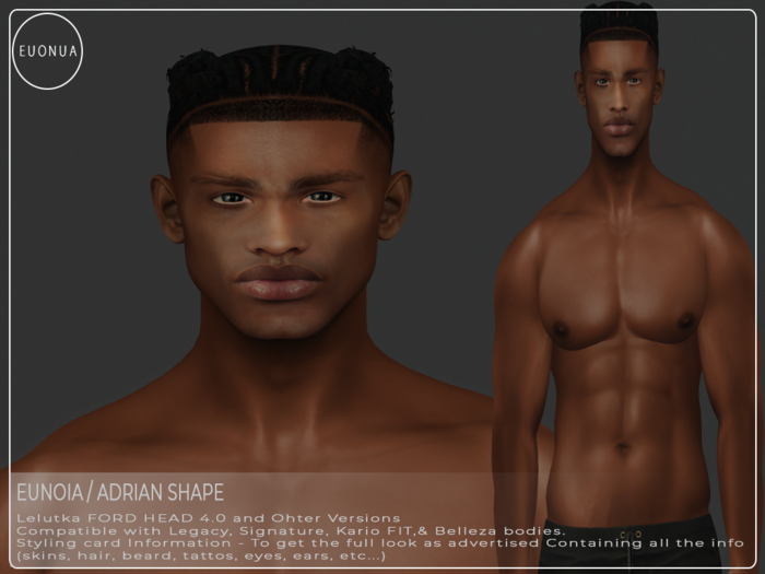 Ford Head 4.0 Adrian Shape