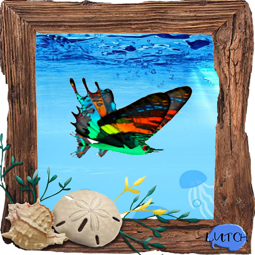 (7S) Rare Fish: Butterflyfish Treble