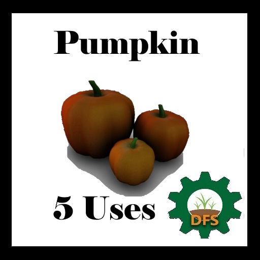 DFS - Pumpkin (5Uses) (NOT TEXTURE)