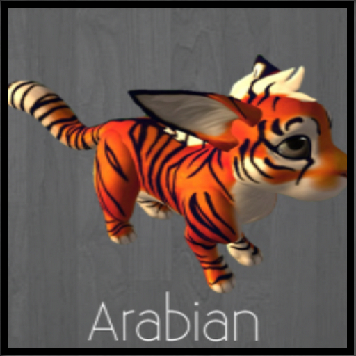 arabian female Meeroo Nest ID #7458442