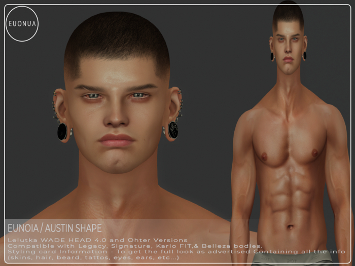 Wade Head 4.0 Austin Shape