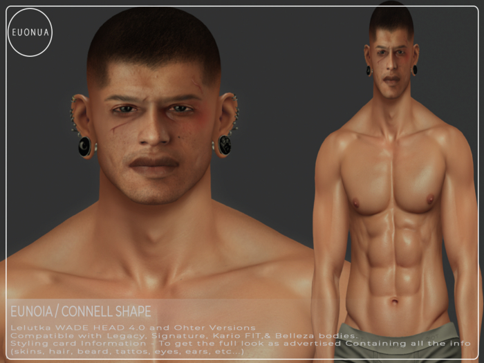 Wade Head 4.0 Connell  Shape