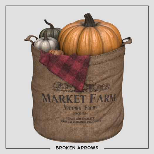 BROKEN ARROWS - Pumpkin Farm - Colorful Pumpkin Basket 