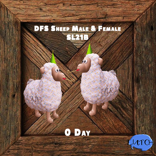 DFS Sheep Female & Male SL21B (SL21B)