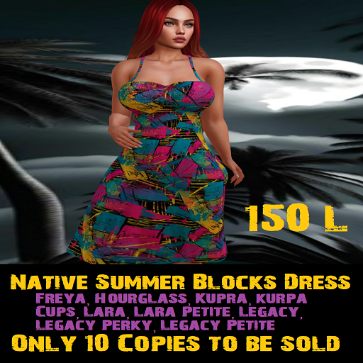 Native Summer Blocks Dress 2024