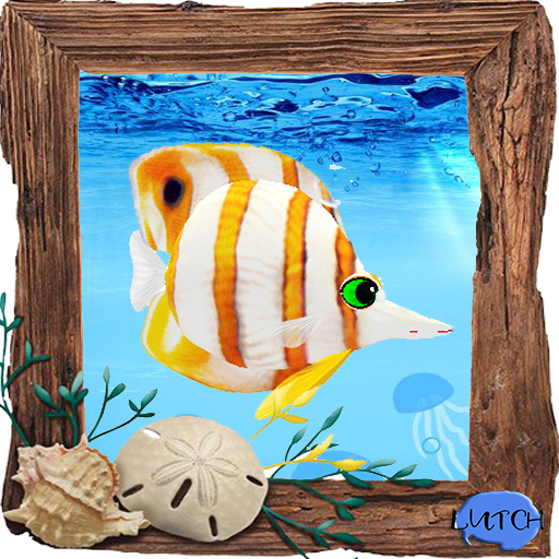 (7S) Common Fish: Copper Banded Fish