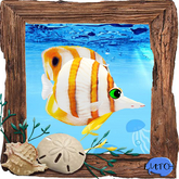 (7S) Common Fish: Copper Banded Fish