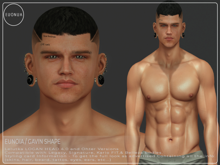 Logan Head 4.0 Gavin Shape