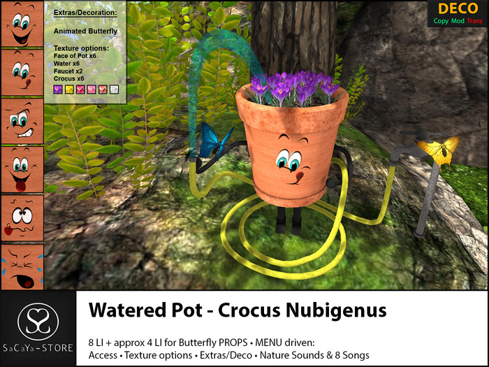 SaCaYa - Watered Pot - Crocus Nubigenus