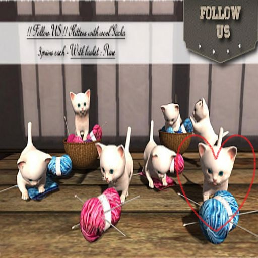 !! Follow US !! Kittens with blue wool basket box RARE