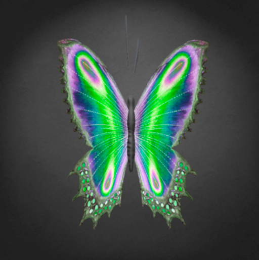 {Papillon} Fe/Sma/Bri/Zuu/Butterfly/MystagicB/AuroraA Cocoon