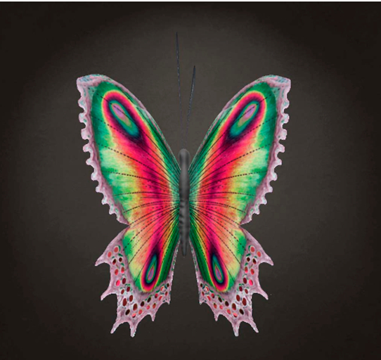 {Papillon} Ma/Mon/Bri/Fey/Butterfly/AuroraB/Rockstar Cocoon
