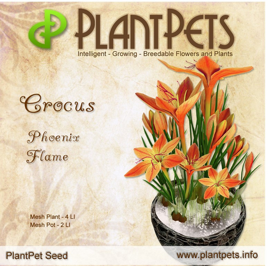 PlantPet Seed [Crocus *Phoenix Flame*] v.3.088 RARE
