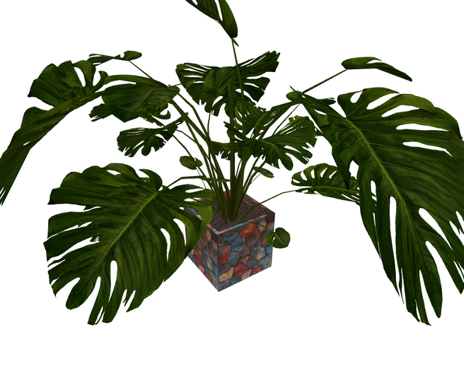 Large Tropical Plant in Designer Abstract Pot