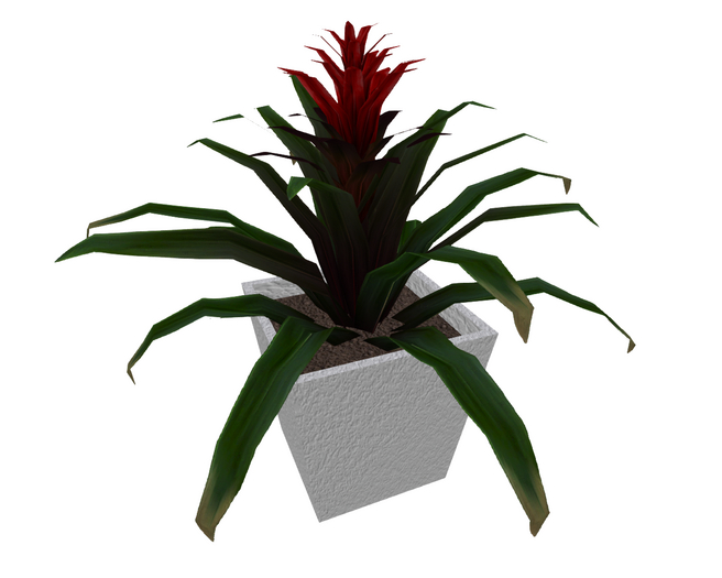 BubbleBlooms Red Bromeliad in Stucco Pot