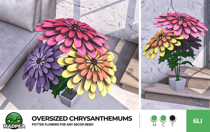 MadPea Oversized Chrysanthemums