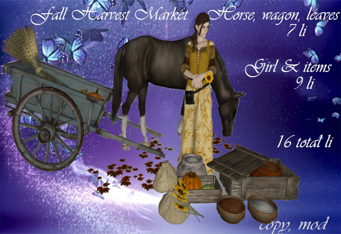 Fall Harvest Market Decor Boxed