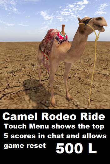 Camel Rodeo Ride 2024