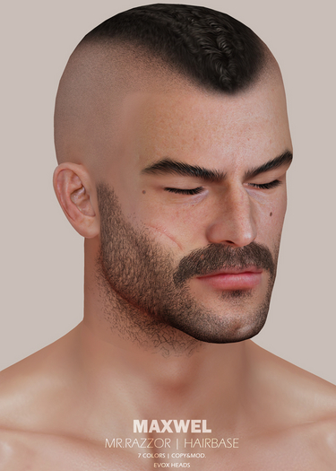 [MR] Maxwel Hairbase for EvoX HeadsDEMO2