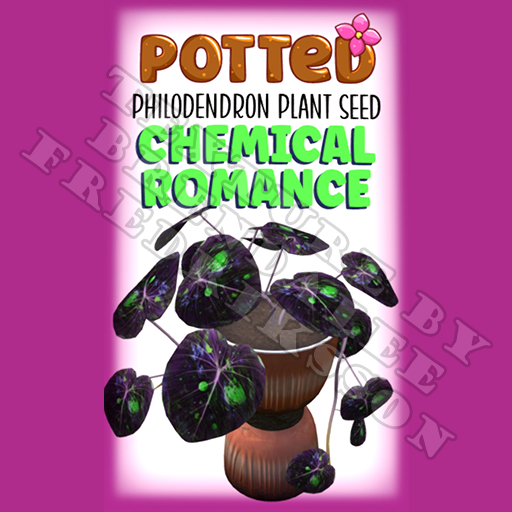 Potted: Philodendron Plant Seed: Chemical Romance (ACTUAL PLANT SEED) - Retired!