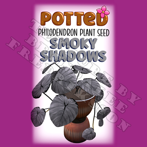 Potted: Philodendron Plant Seed: Smoky Shadows (ACTUAL PLANT SEED) - Retired!