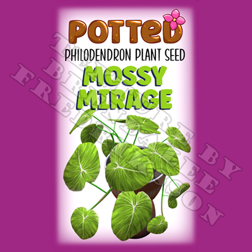 Potted: Philodendron Plant Seed: Mossy Mirage (ACTUAL PLANT SEED) - Retired!