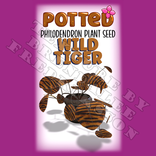 Potted: Philodendron Plant Seed: Wild Tiger (ACTUAL PLANT SEED) - Retired!