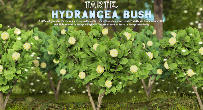 tarte. hydrangea bush (yellow)