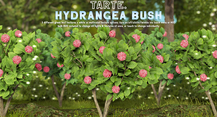 tarte. hydrangea bush (red)