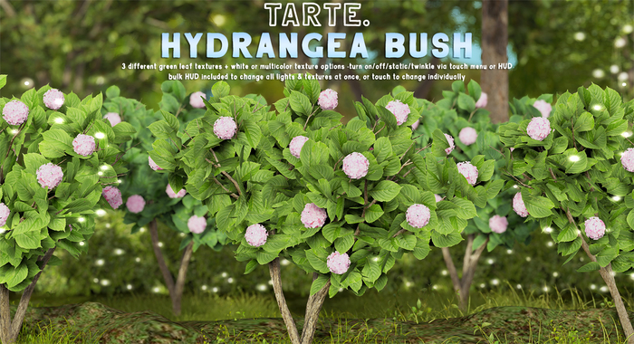 tarte. hydrangea bush (pink)