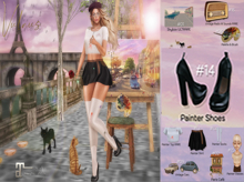 14 Spring In Paris Painter Shoes