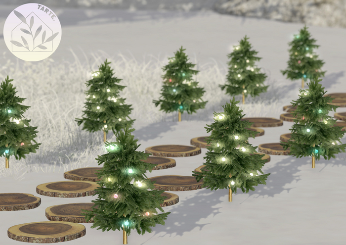 tarte. mini fir tree path lights