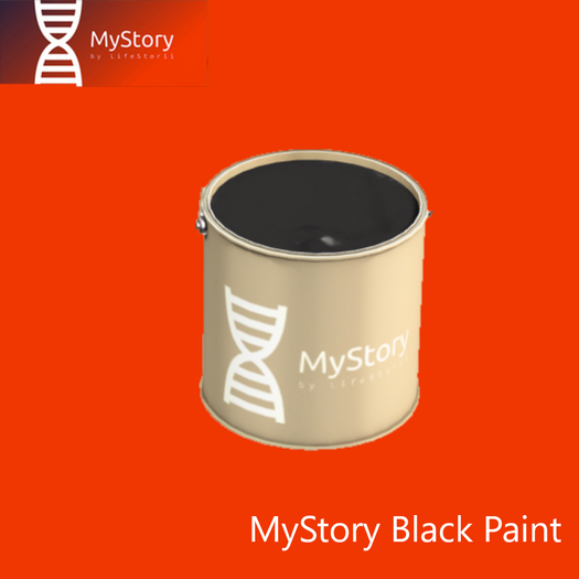 MyStory Black Paint