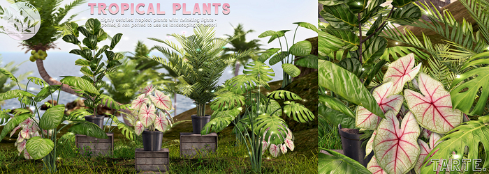 tarte. tropical plants - FULL SET