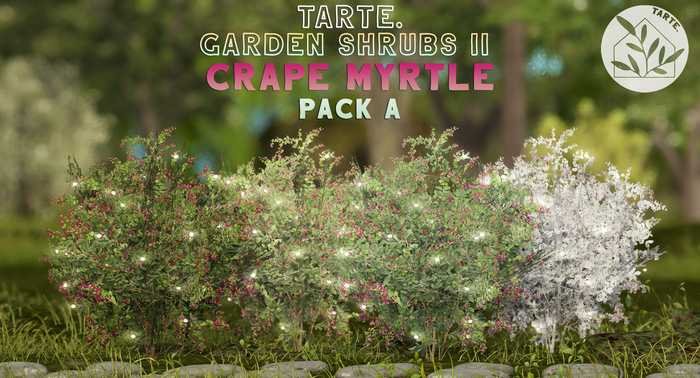tarte. crape myrtle shrub (pack A)
