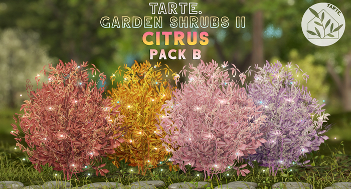 tarte. citrus shrub (pack B)