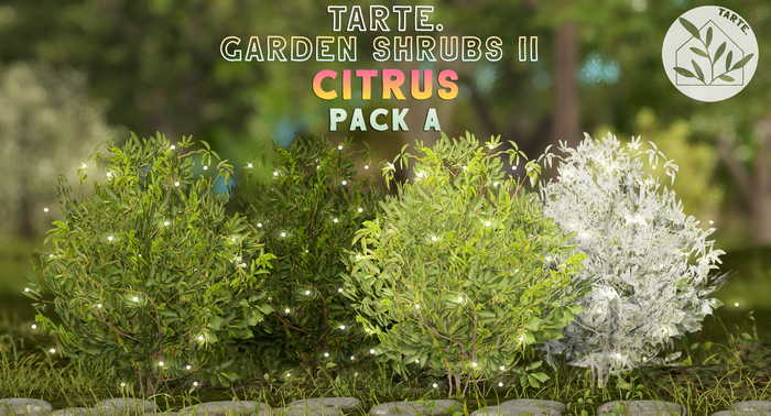 tarte. citrus shrub (pack A)