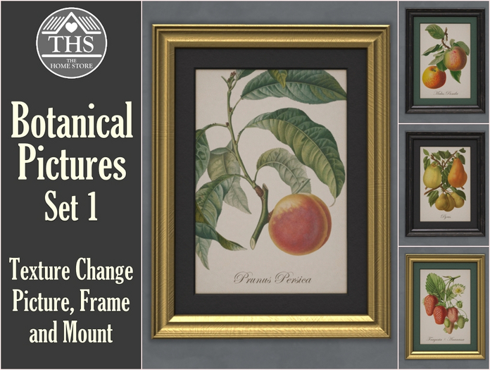 BOTANICAL - PICTURES - PICTURE - PAINTING - PAINTINGS