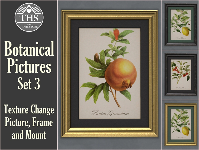 BOTANICAL - PICTURES - PICTURE - PAINTING - PAINTINGS