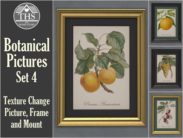 BOTANICAL - PICTURES - PICTURE - PAINTING - PAINTINGS