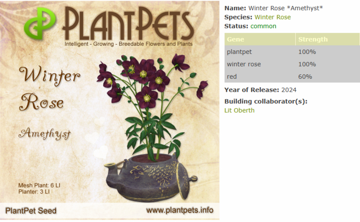 PlantPet Seed [Winter Rose *Amethyst*]
