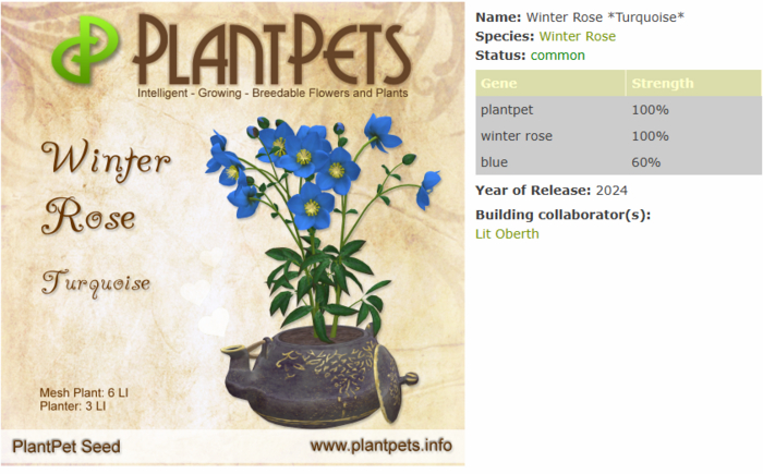 PlantPet Seed [Winter Rose *Turquoise*]